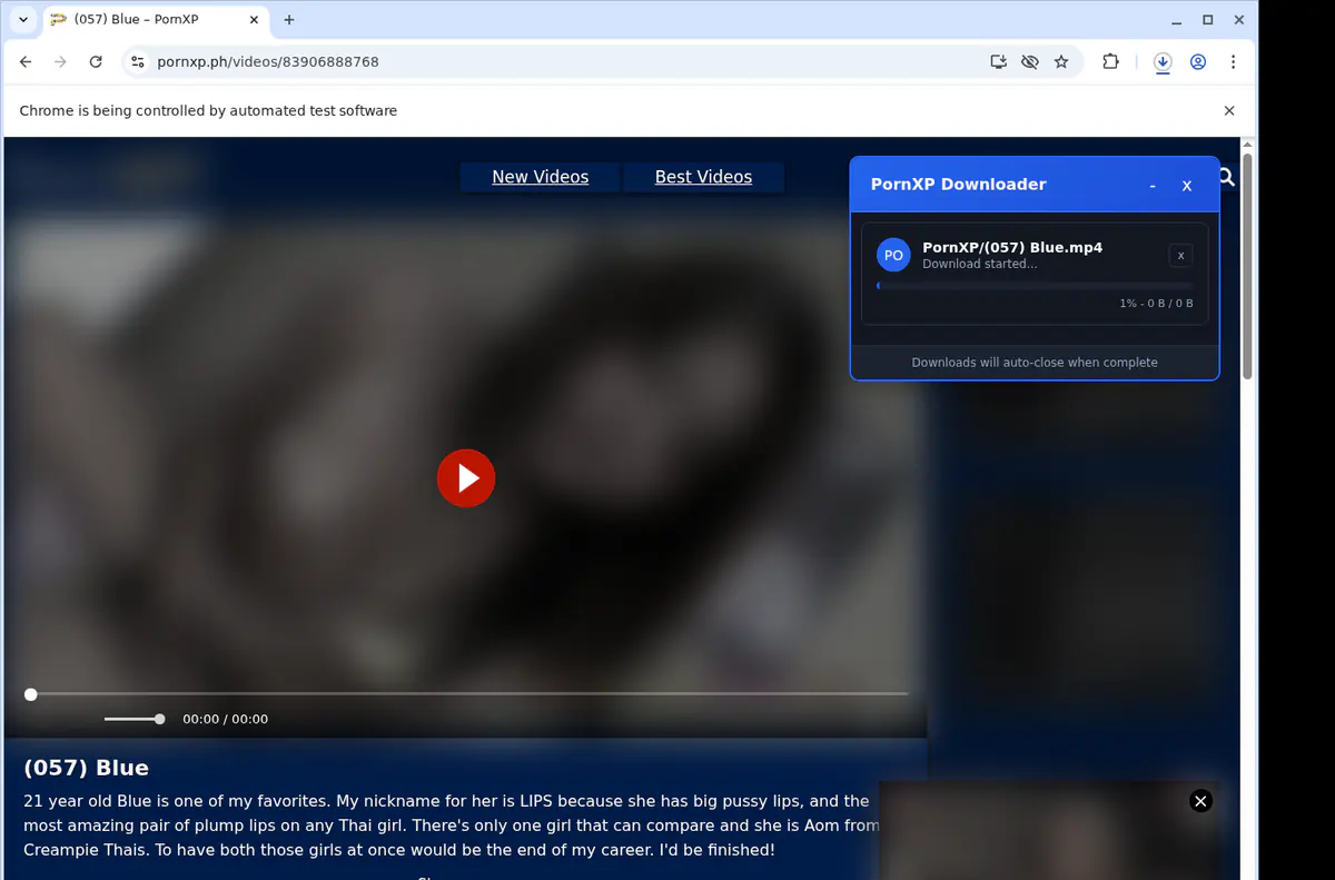 Pornxp Video Downloader screenshot 2