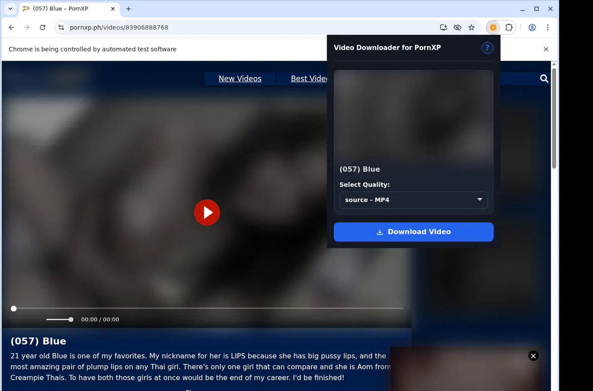 Pornxp Video Downloader screenshot 3